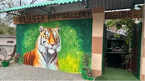 Wildlife Art Gallery